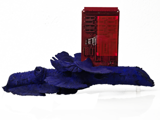 Aus dem Blau